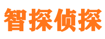 商都市侦探